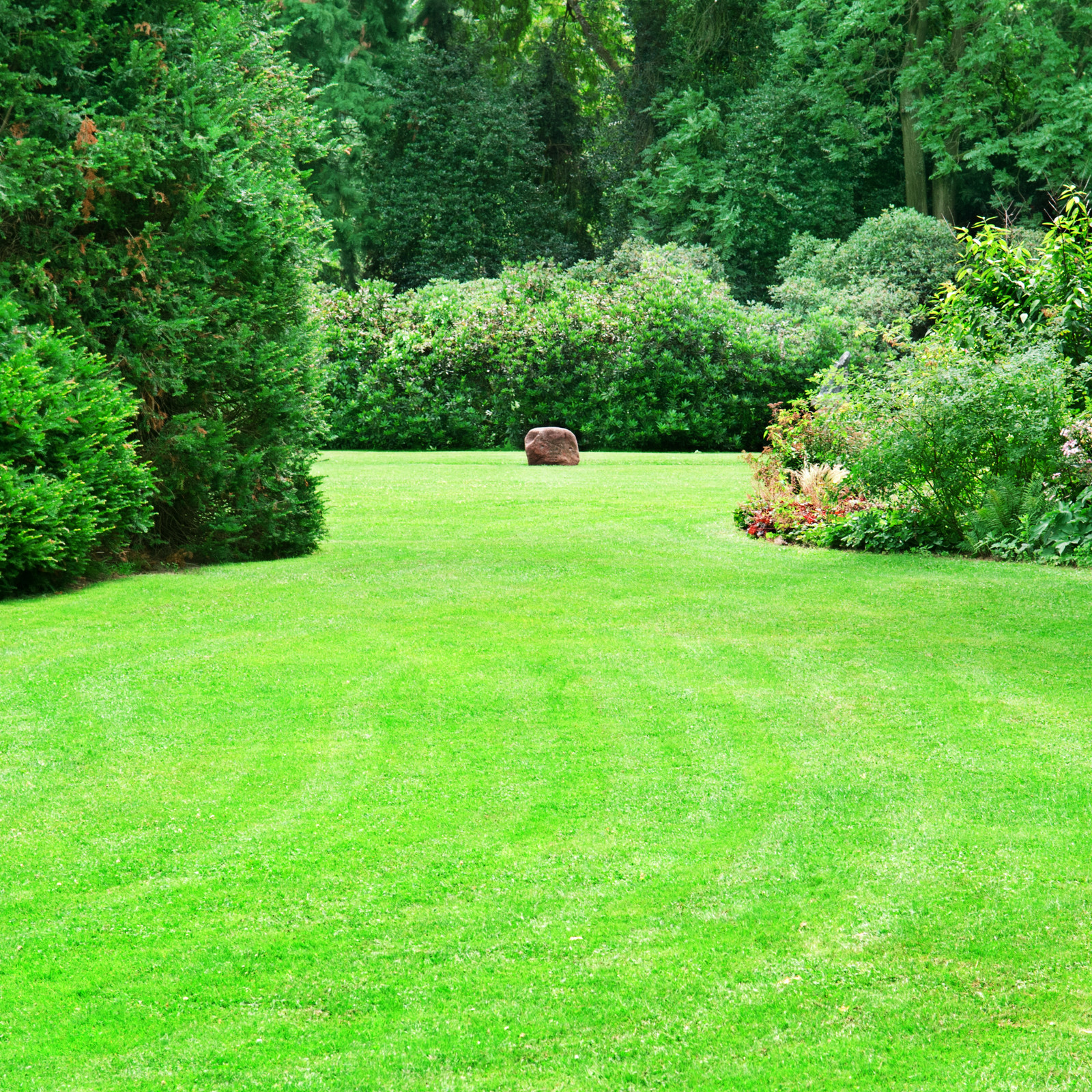 home with green lawn